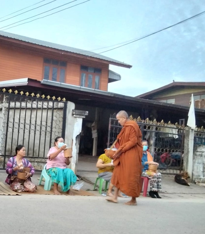Les éléphants en Thaïlande