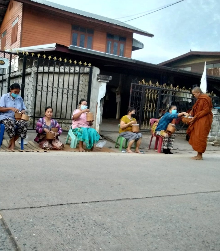 Les éléphants en Thaïlande