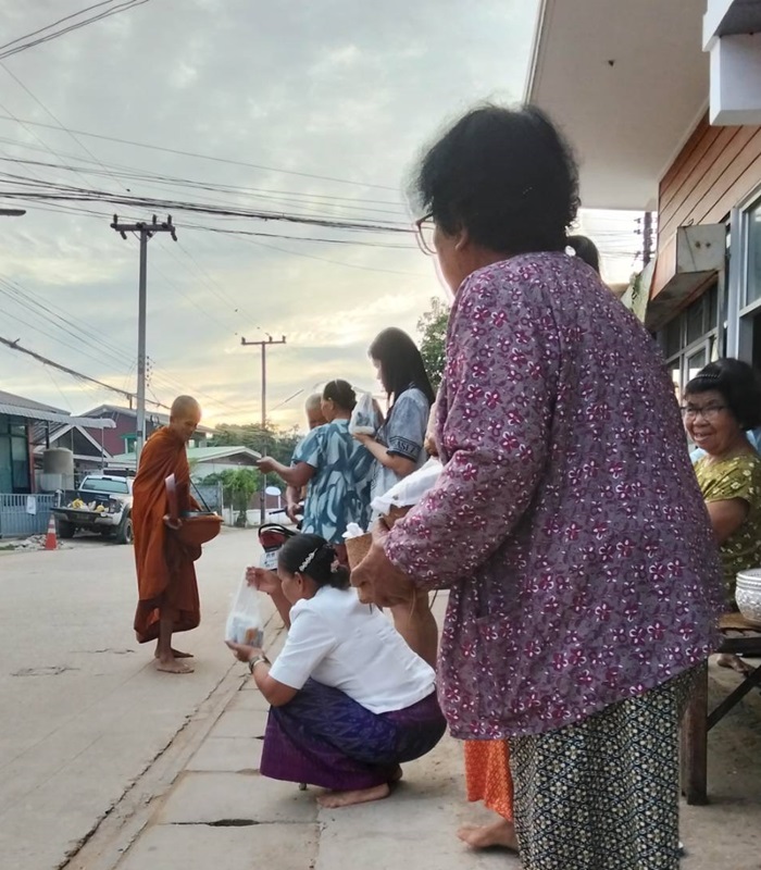 Les éléphants en Thaïlande