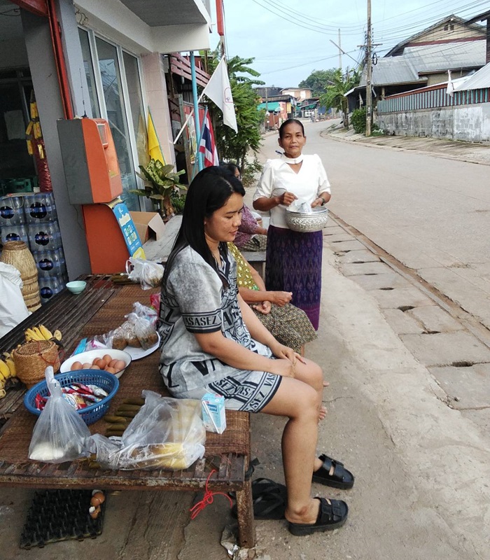 Les éléphants en Thaïlande