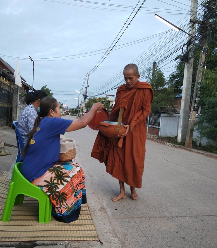 Les éléphants en Thaïlande