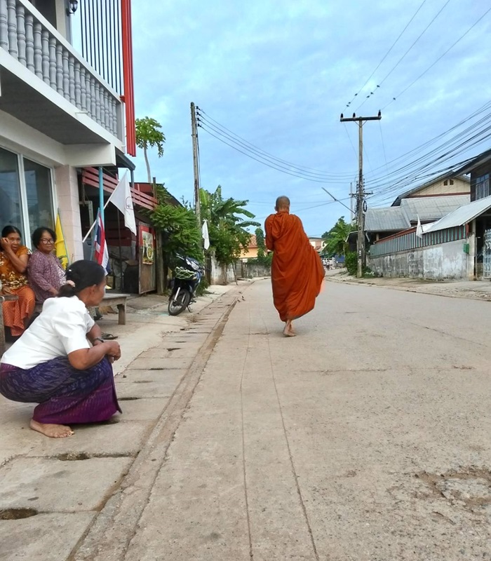 Les éléphants en Thaïlande