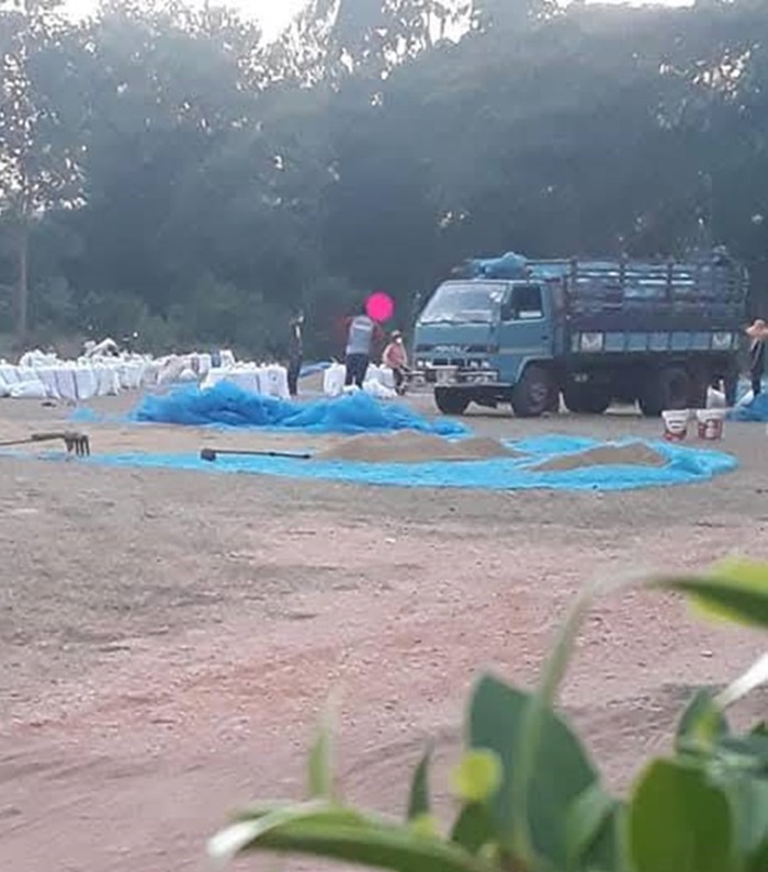 Le riz en Thaïlande