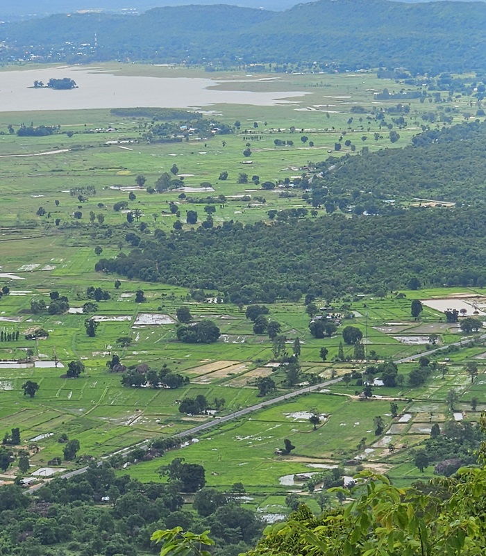 Le riz en Thaïlande