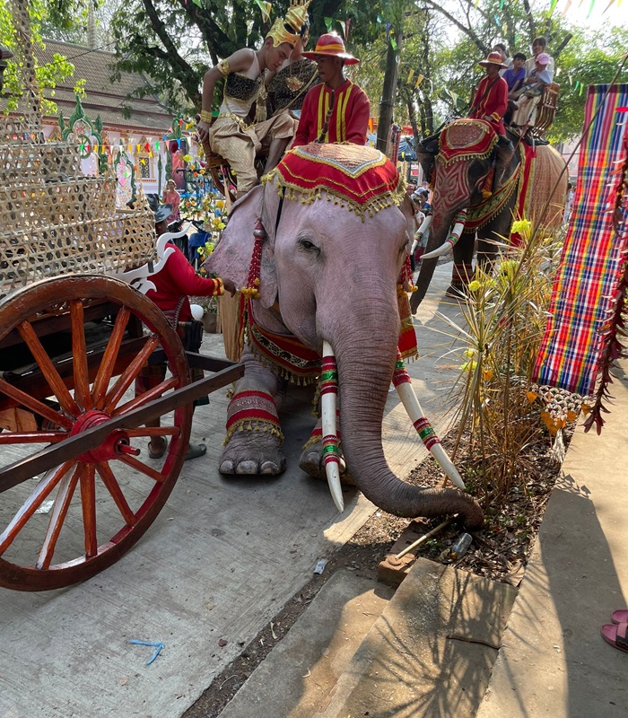 Les éléphants en Thaïlande
